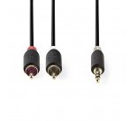 Nedis CABW22200AT20 - Stereofonní Audio Kabel | 3,5mm Zástrčka - 2x RCA Zástrčka | 2 m | Antracit