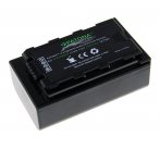 PATONA baterie pro digitální kameru Panasonic VW-VBD29 2600mAh Li-Ion